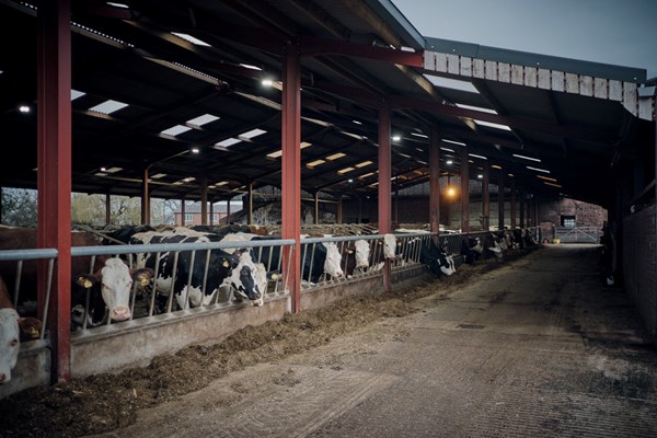 Barn at Curtis Hulme farm